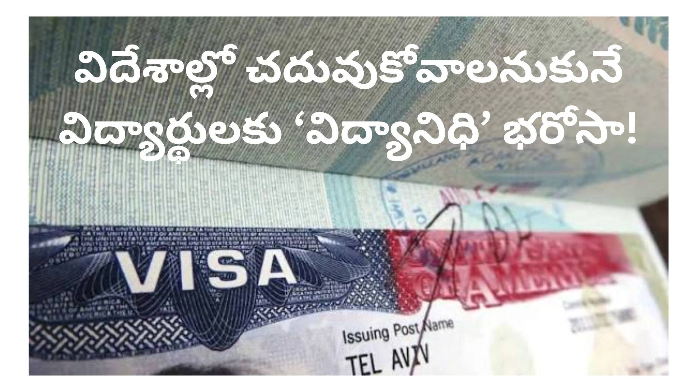 Students studying abroad with Vidyanidhi Overseas Scheme support